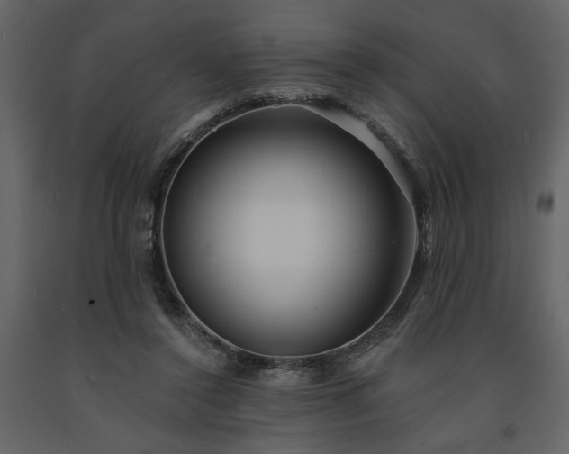 X0000091530356200708241717