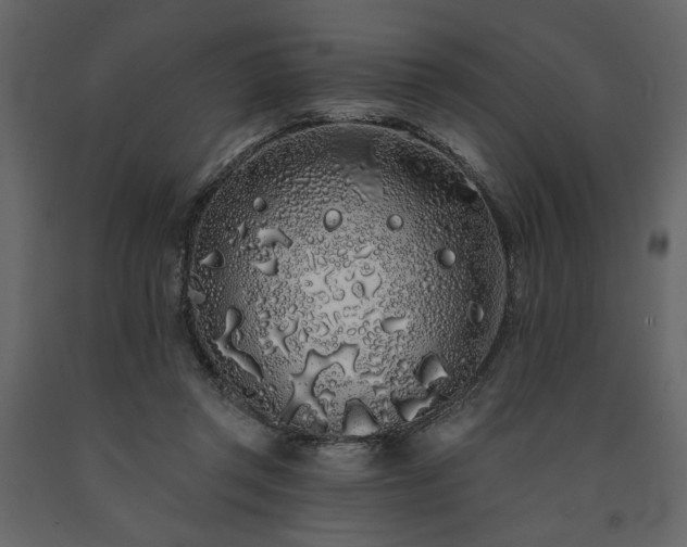 X0000091530357200708241717