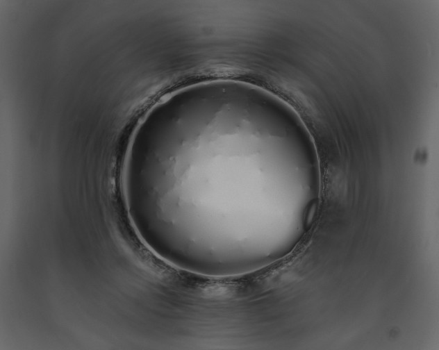 X0000091530358200708241717