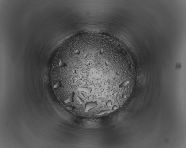 X0000091530359200708241717