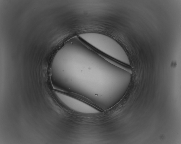 X0000091530360200708241717