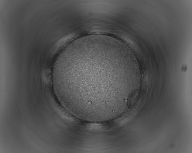 X0000091530361200708241717
