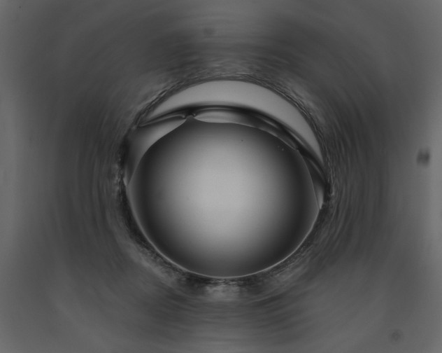 X0000091530362200708241717