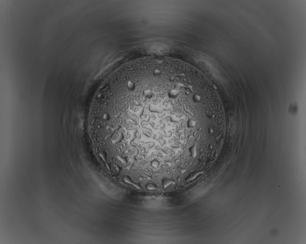 X0000091530363200708241717