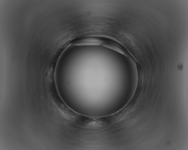 X0000091530364200708241717