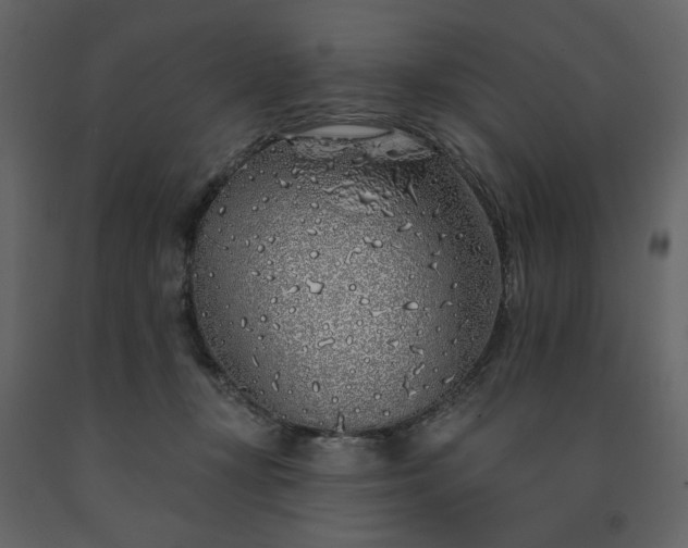 X0000091530367200708241717