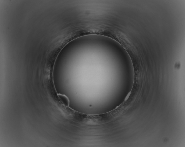 X0000091530368200708241717
