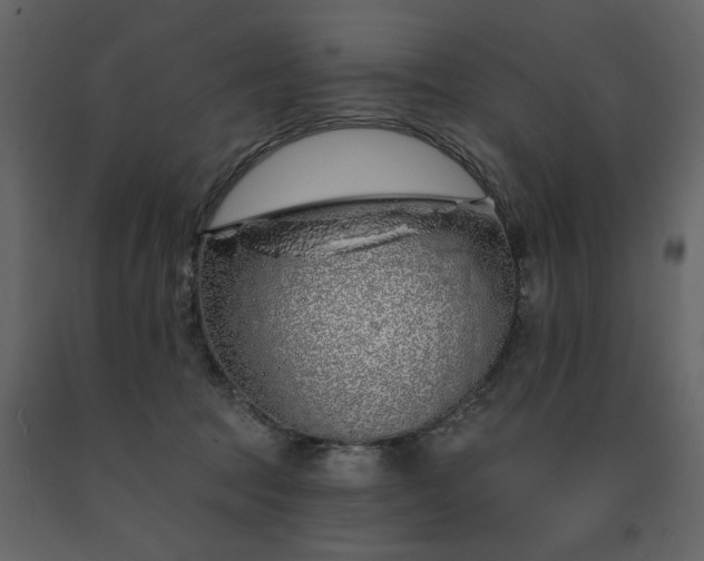 X0000091530369200708241717
