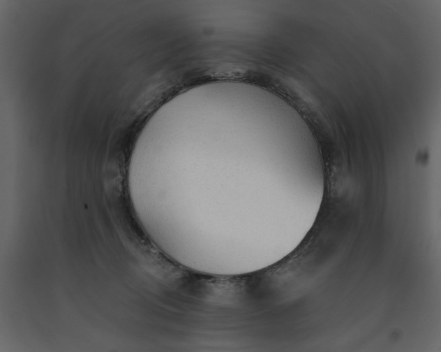 X0000091530370200708241717
