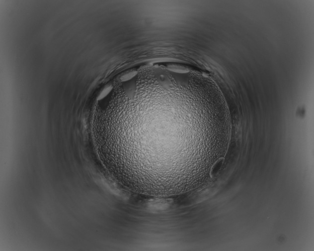 X0000091530373200708241717