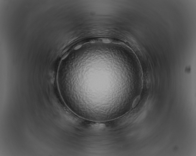 X0000091530374200708241717