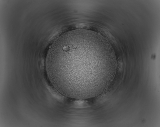 X0000091530375200708241717