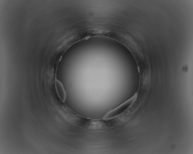 X0000091530376200708241717