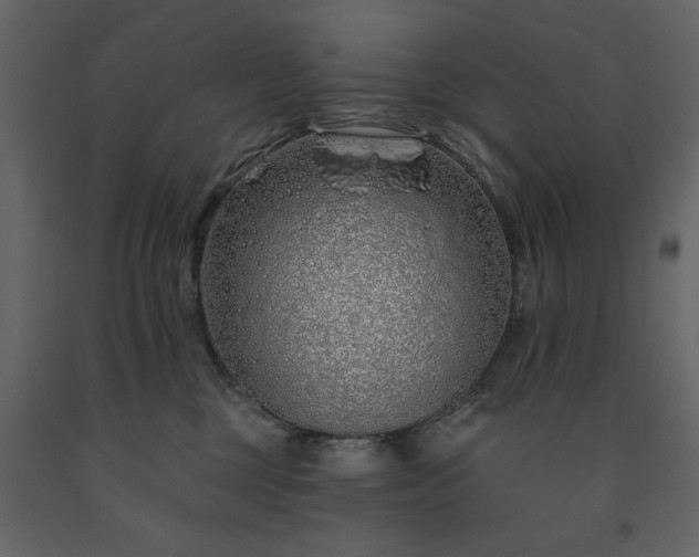 X0000091530377200708241717