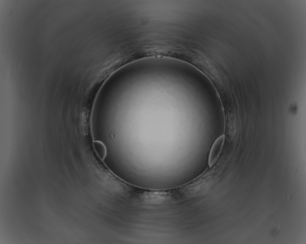 X0000091530378200708241717