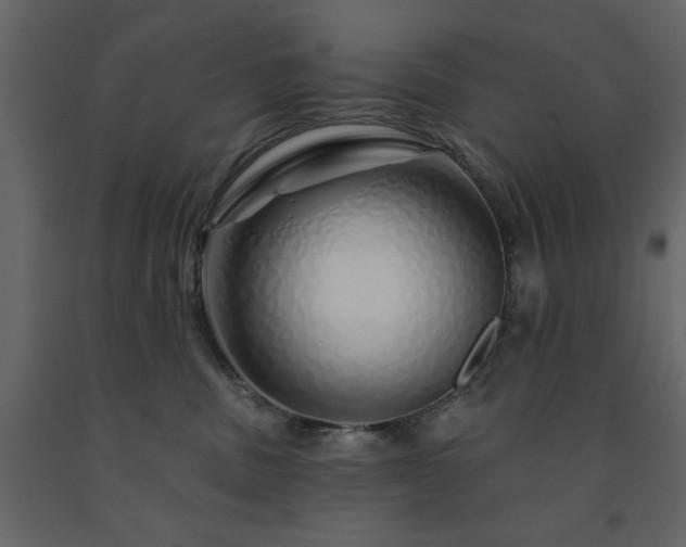 X0000091530379200708241717