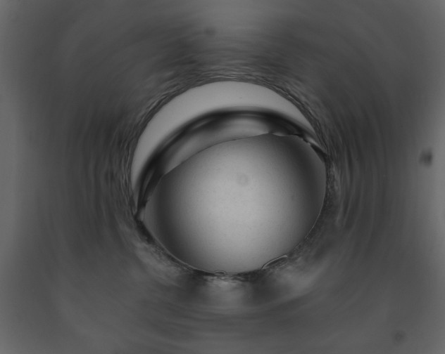 X0000091530380200708241717