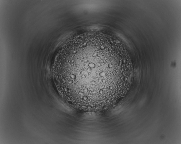 X0000091530381200708241717