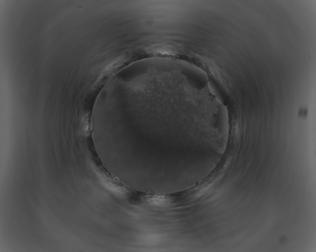 X0000091530383200708241717