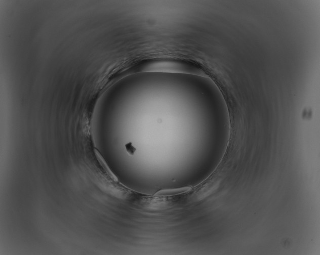 X0000091530384200708241717