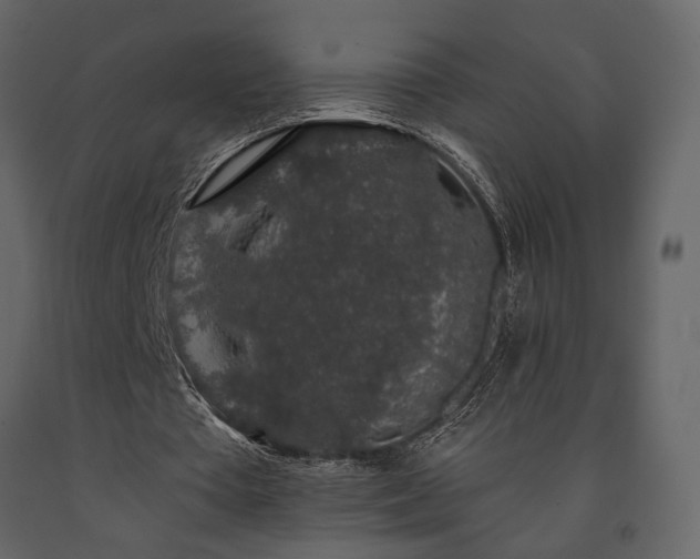 X0000091530385200708241716