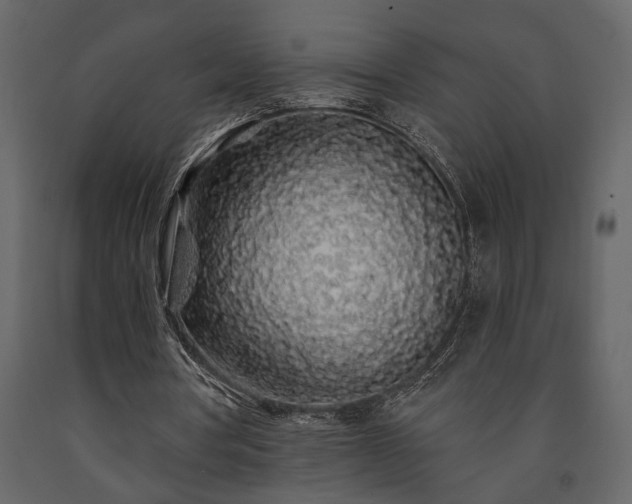 X0000091530386200708241716
