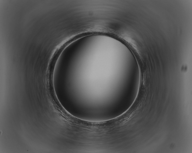X0000091530388200708241716