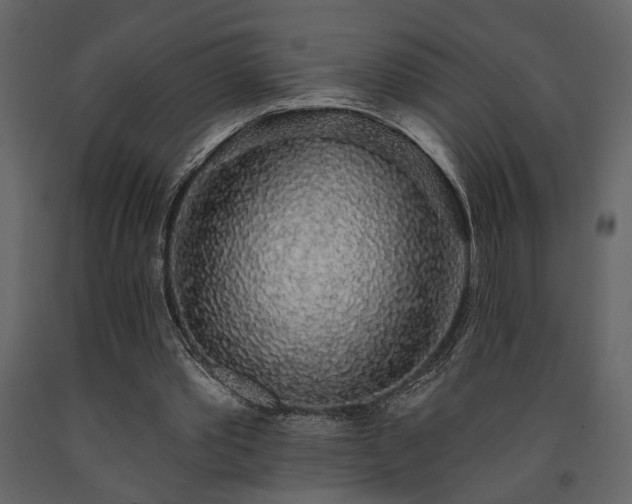 X0000091530389200708241716