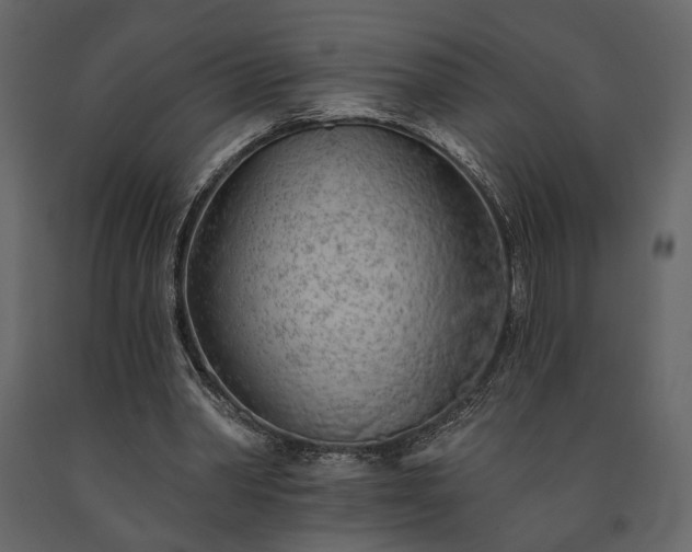 X0000091530390200708241716