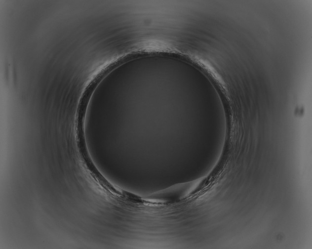 X0000091530391200708241716