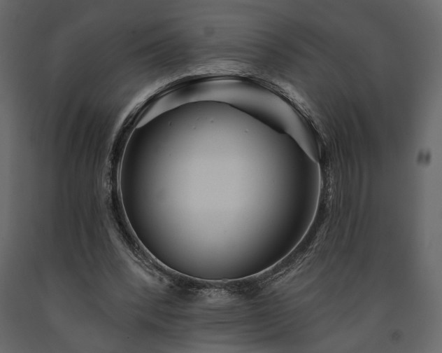 X0000091530392200708241716