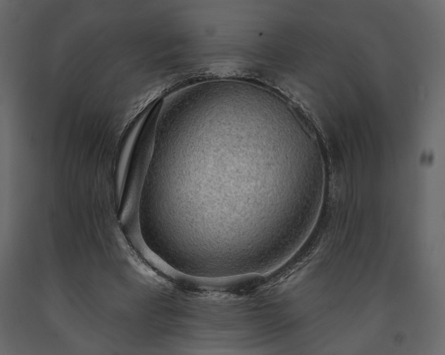 X0000091530393200708241716