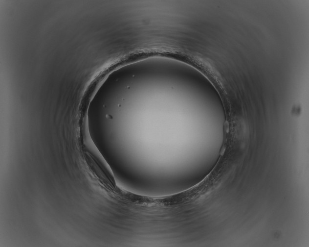 X0000091530395200708241716