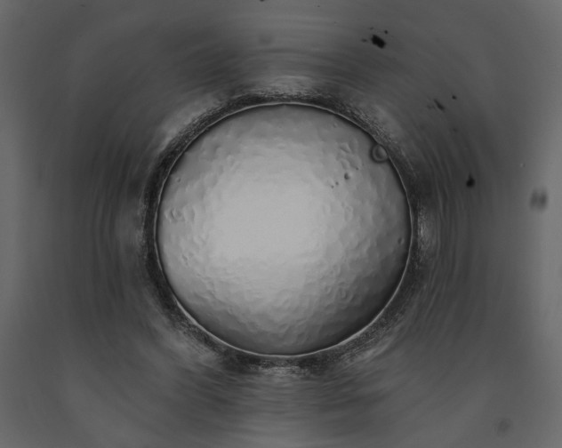 X0000091530396200708241716