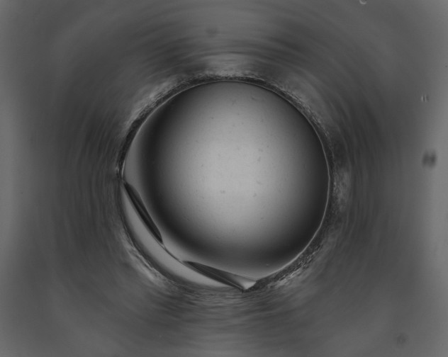 X0000091530397200708241716