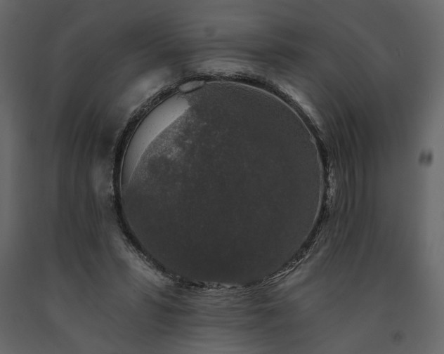 X0000091530399200708241716