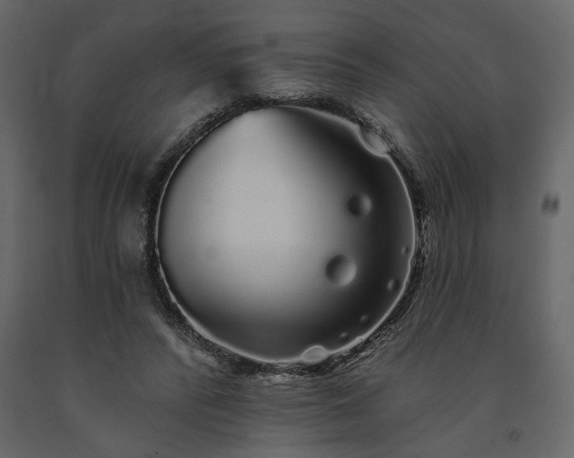 X0000091530400200708241716