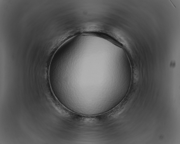 X0000091530401200708241716
