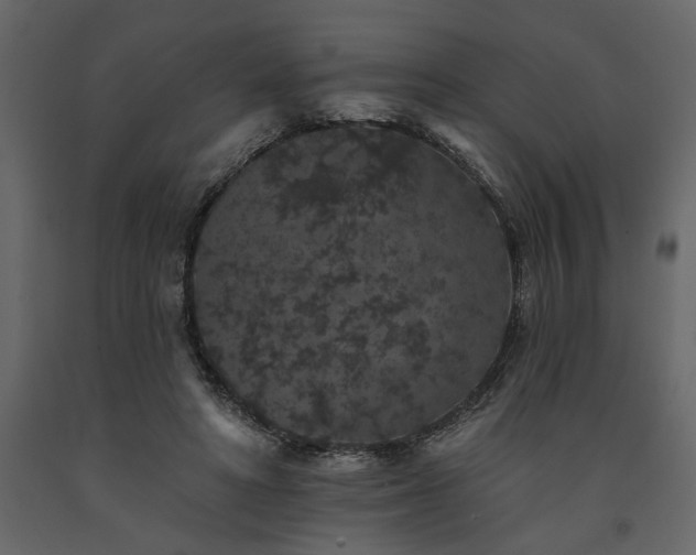 X0000091530402200708241716