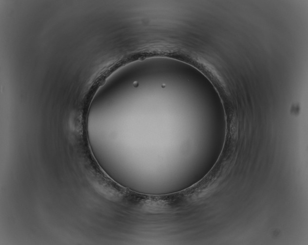 X0000091530403200708241716