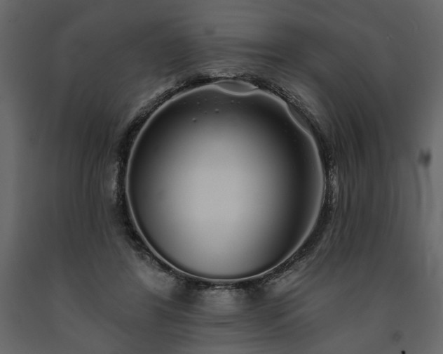 X0000091530404200708241716