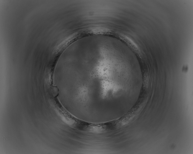 X0000091530405200708241716