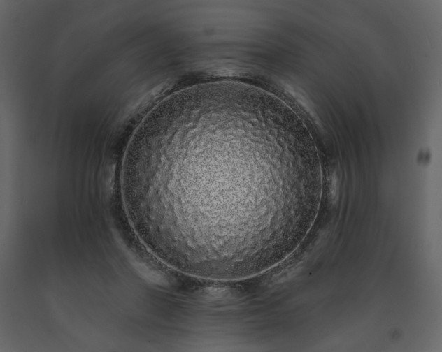 X0000091530406200708241716