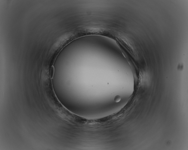 X0000091530407200708241716