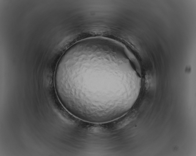 X0000091530408200708241716