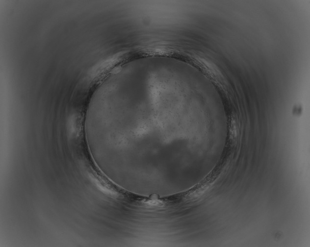 X0000091530409200708241716