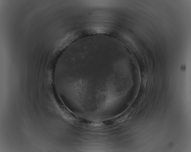 X0000091530410200708241716
