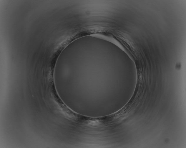 X0000091530411200708241716