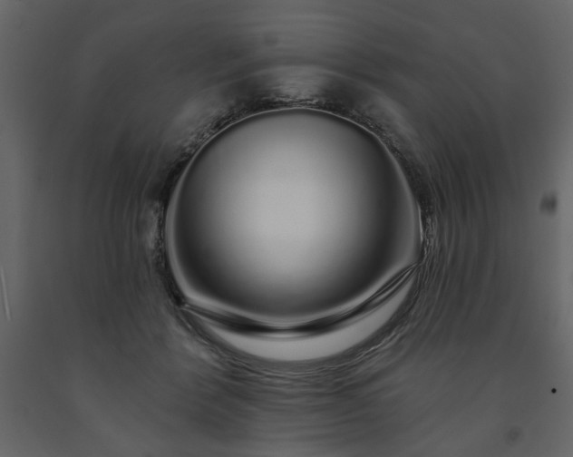 X0000091530412200708241716