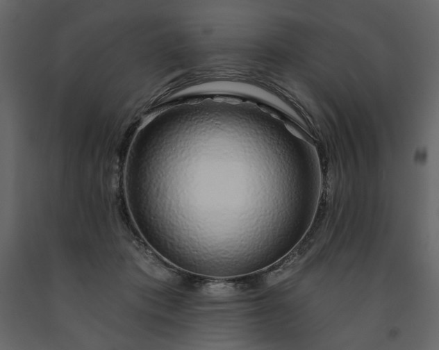 X0000091530413200708241716